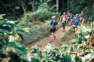 BIB: 
                            <button type="button" onclick="openModal(25852144)" class="btn btn-primary btn-sm float-right btn-popup" data-toggle="modal" data-target=".modal-high-quality">
                        <i class="fas fa-shopping-cart"></i> Add to Cart
                    </button>
                                            <button type="button" onclick="isThisMe(25852144, true)" class="btn btn-success btn-sm float-right btn-popup btn-isme hidden" data-toggle="tooltip" data-placement="bottom" title="นี่คือรูปของคุณใช่ไหม คลิกที่นี่เพื่อเอาเข้าอัลบั้ม">
                        <i class="fas fa-plus"></i> Add to album
                    </button>
                    <button type="button" onclick="isThisMe(25852144, false)" class="btn btn-warning btn-sm float-right btn-popup btn-isnotme hidden">
                        <i class="fas fa-ban"></i> Remove from album
                    </button>